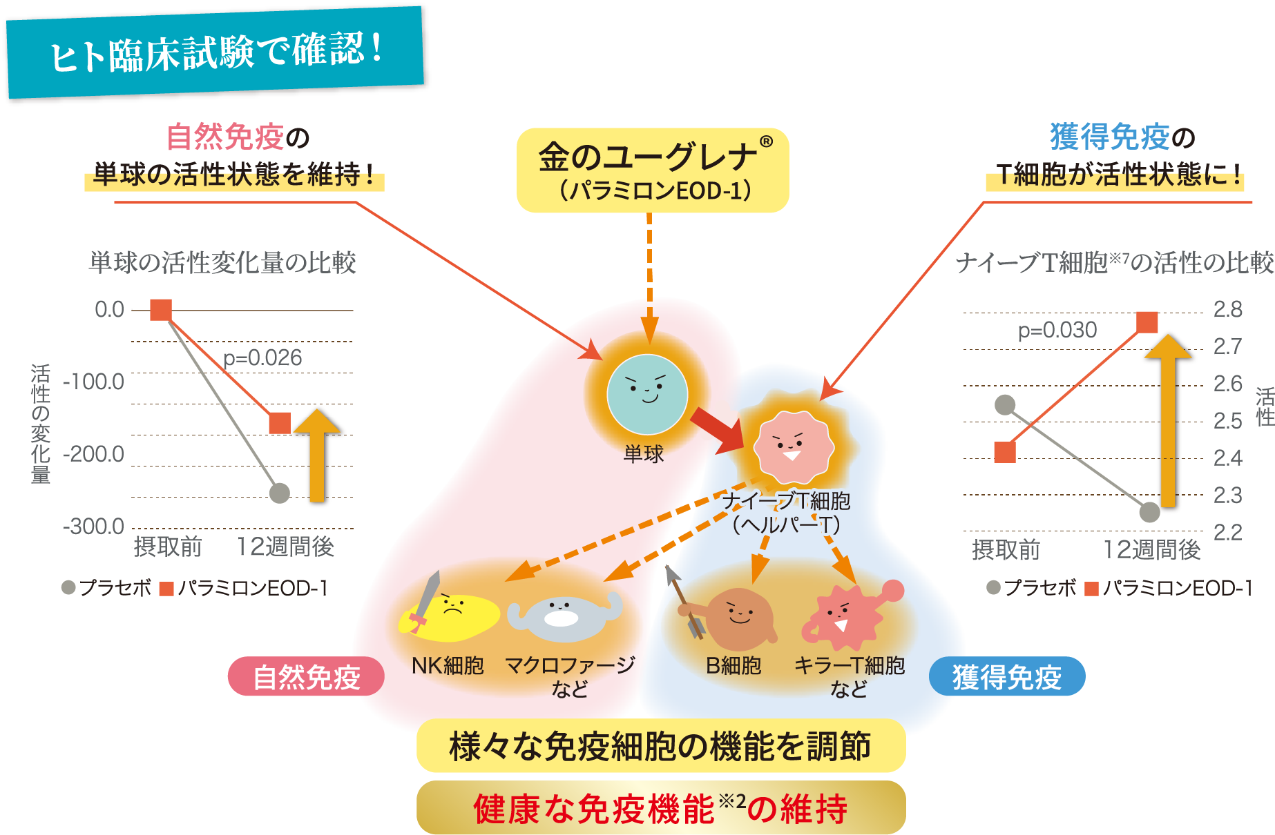 知っておきたいカラダを守る免疫のしくみ