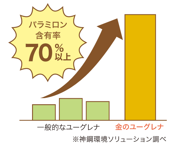パラミロン含有率70％以上.jpg