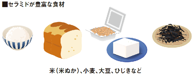 イラスト6.jpg