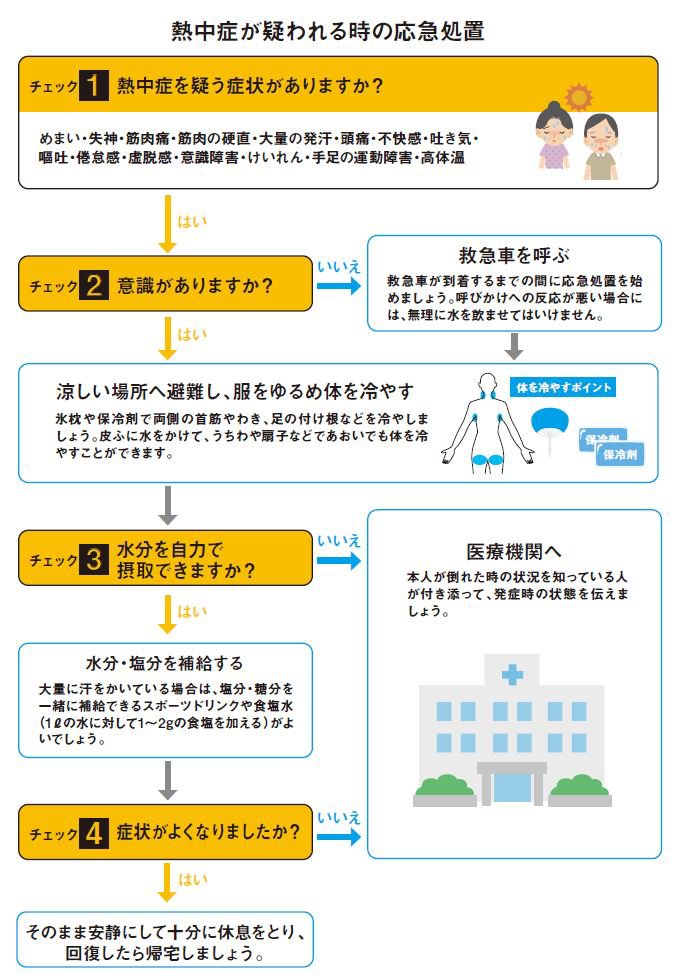 ミカレア通信6月号_01.JPG