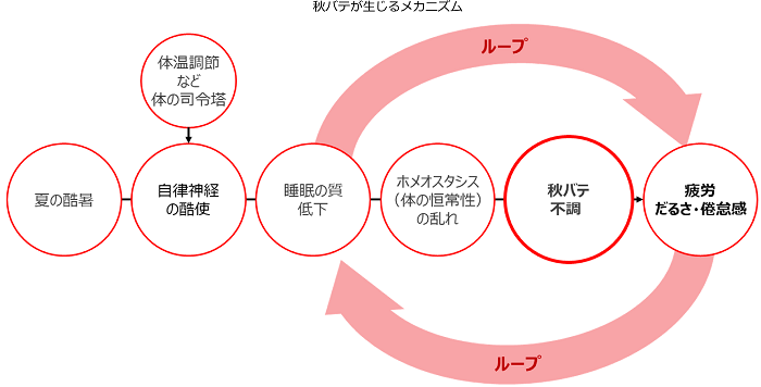 秋バテが生じるメカニズム（リサイズ）.jpg