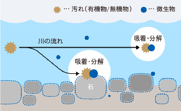 水中の微生物が、汚れを吸着・分解