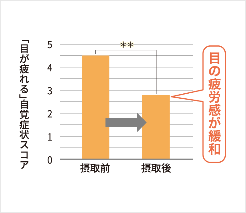 酷使しがちな毎日に目の疲労感を緩和