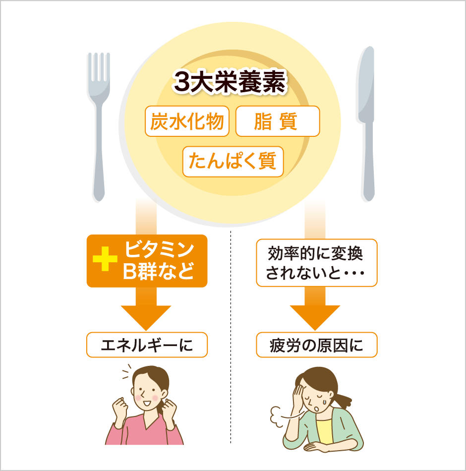 ビタミンB群と三大栄養素の関係