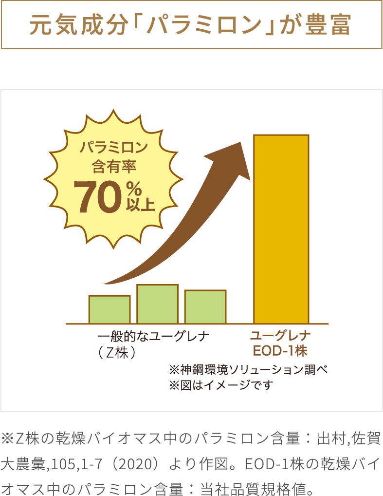 身体的疲労感