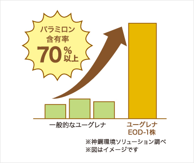 驚きのパラミロン含有率