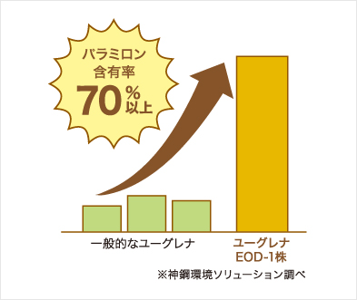 驚きのパラミロン含有率