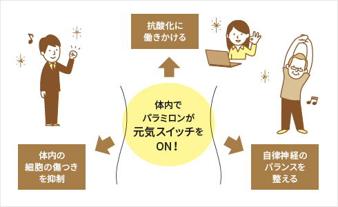 元気スイッチを押す期待の成分「パラミロン EOD-1」