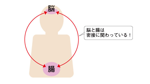 腸脳相関のイラスト.jpg