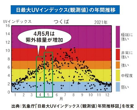 春だる図1.JPG