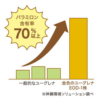 パラミロン含有率70％以上のグラフ