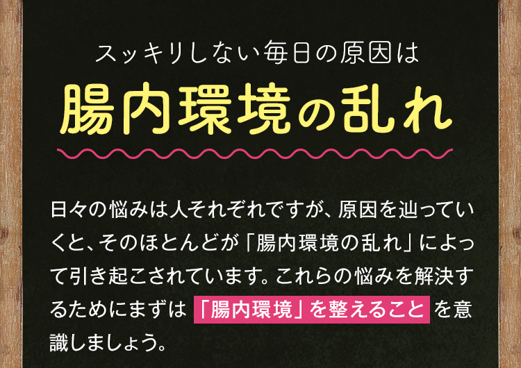 スッキリしない毎日の原因は腸内環境の乱れ