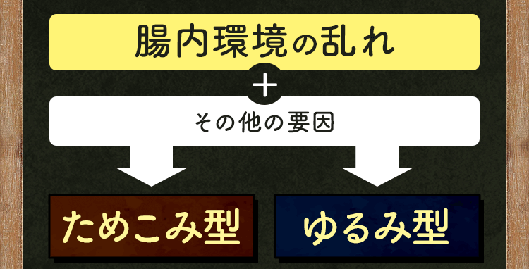 腸内環境の乱れ+その他の要因