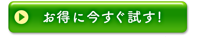 一番お得に今すぐ試す