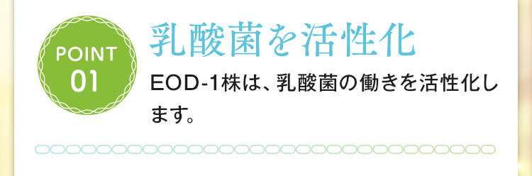 乳酸菌を活性化