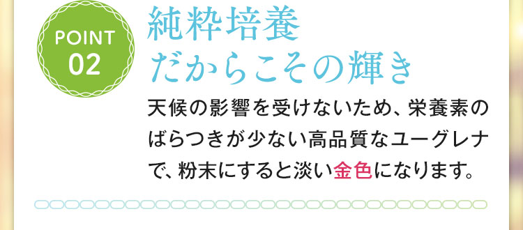 純粋培養だからこその輝き