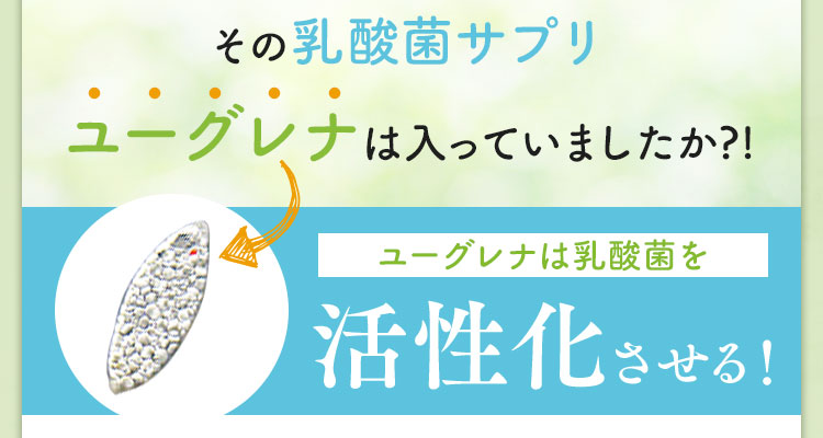 その乳酸菌サプリ、ユーグレナは入っていましたか？