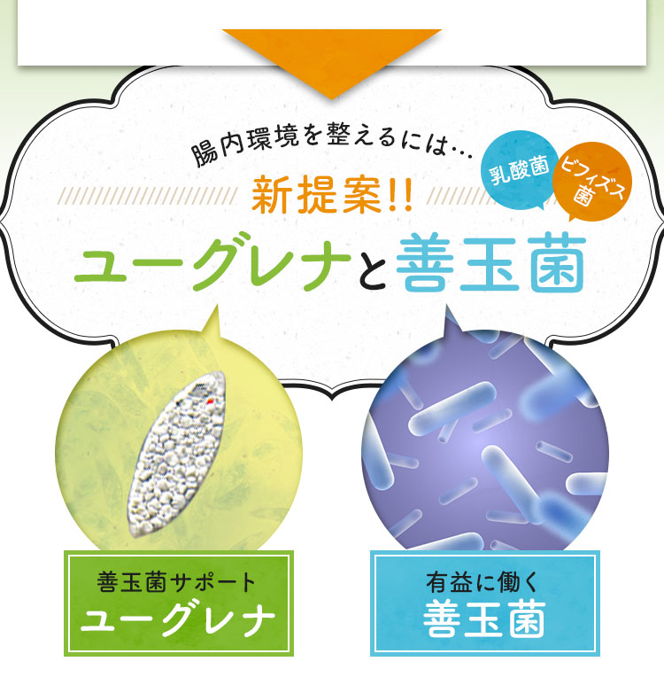 腸内環境を整えるには…新提案！ユーグレナと善玉菌