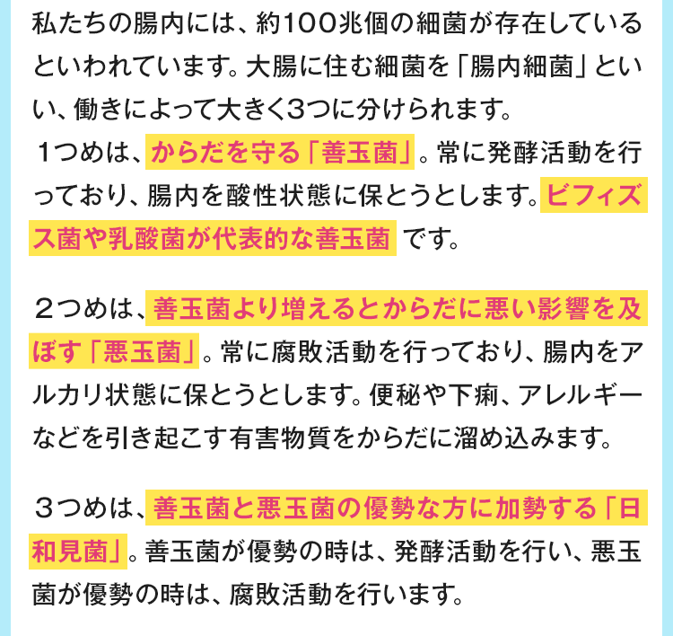 ビフィズス菌や乳酸菌が代表的な善玉菌です