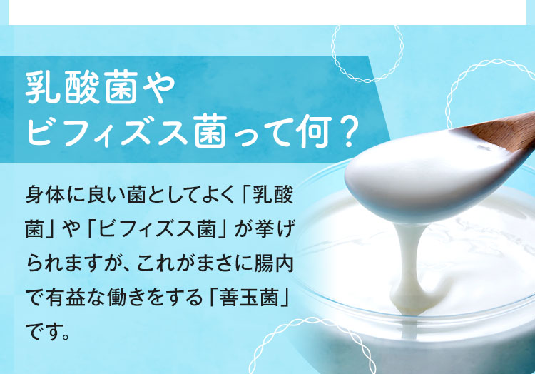 乳酸菌やビフィズス菌って何？