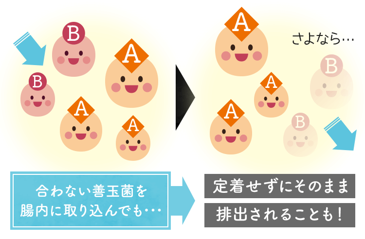 合わない善玉菌を腸内に取り込んでも…定着説にそのまま排出されることも
