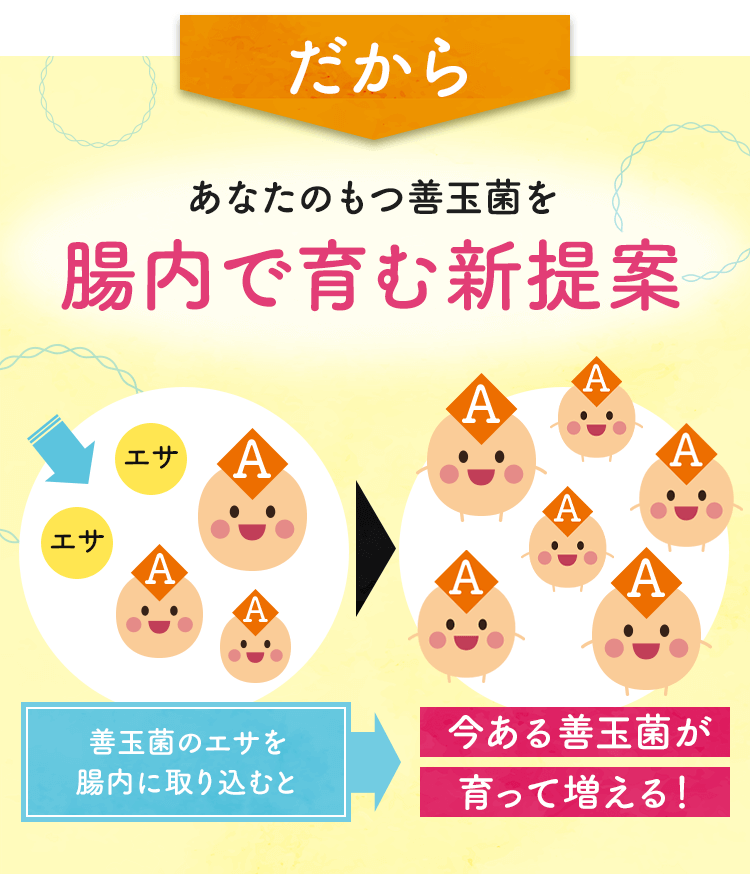 だから、あなたのもつ善玉菌を腸内で育む新提案