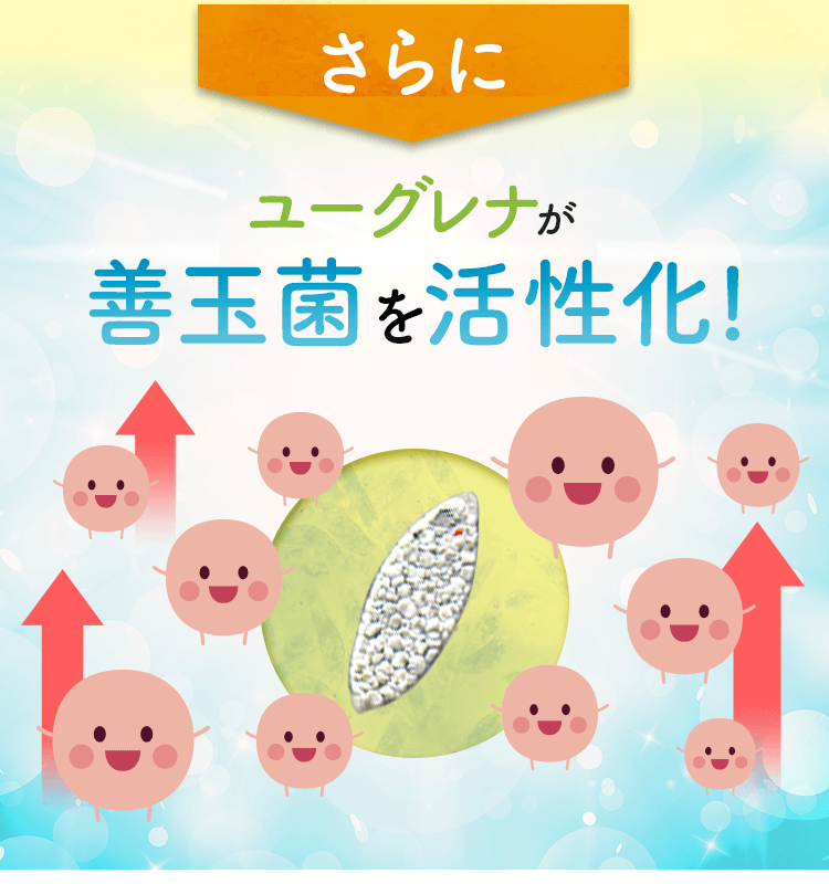 ユーグレナが善玉菌を活性化！